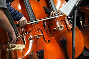 Students playing cellos