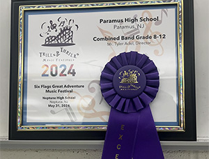 A purple excellence ribbon